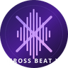 Cross Beat X